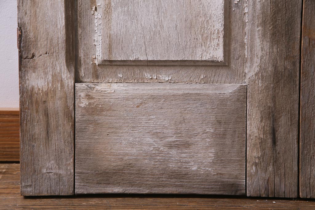 フランスアンティーク　シャビーな美しさが漂うペイントドア一対(木製扉、親子ドア、ディスプレイ)