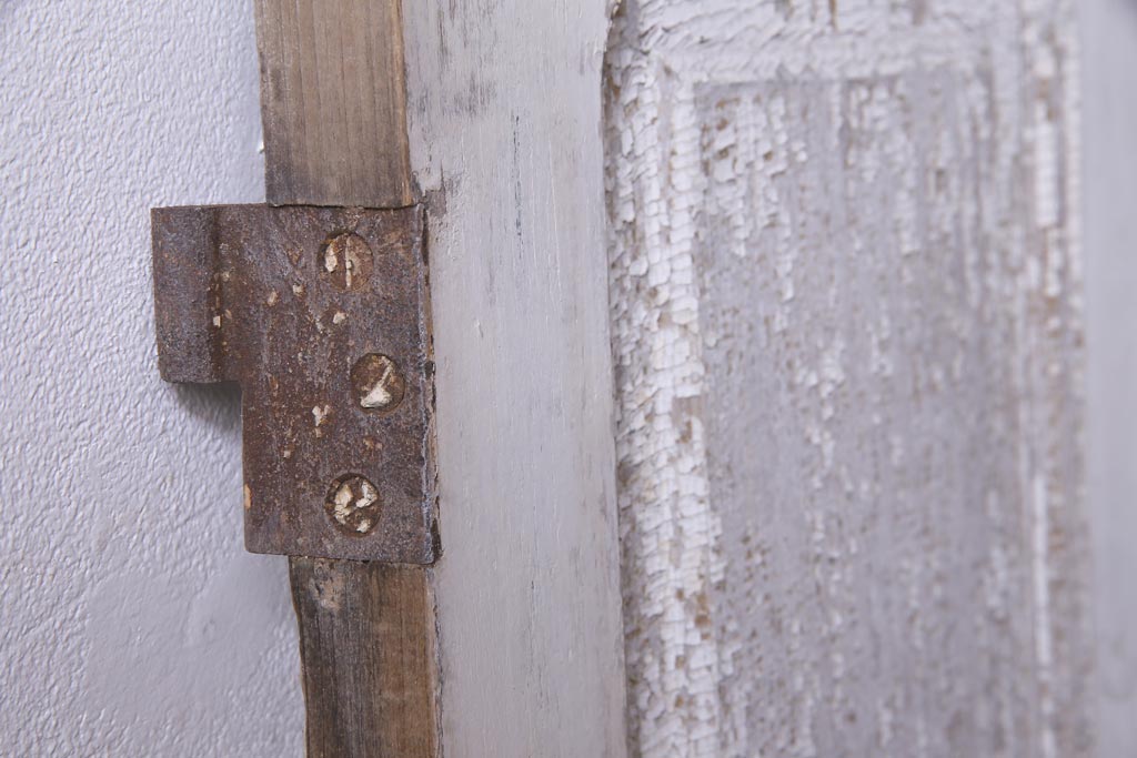 フランスアンティーク　シャビーな美しさが漂うペイントドア一対(木製扉、親子ドア、ディスプレイ)