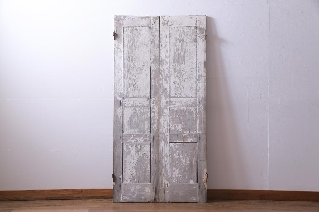 フランスアンティーク　シャビーな美しさが漂うペイントドア一対(木製扉、親子ドア、ディスプレイ)