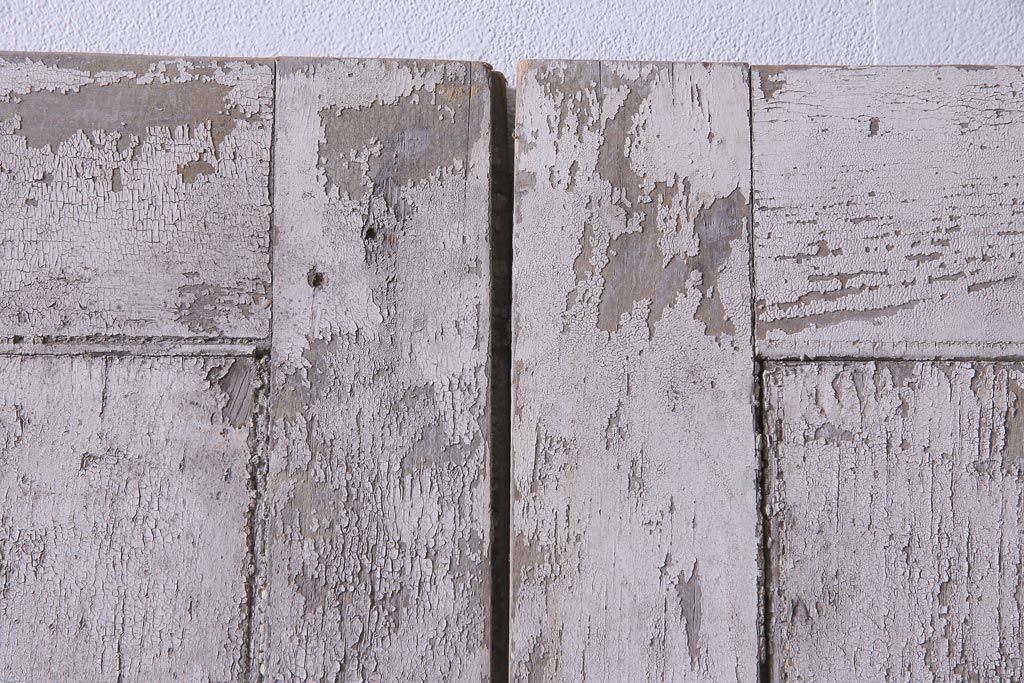 フランスアンティーク　シャビーな美しさが漂うペイントドア一対(木製扉、親子ドア、ディスプレイ)