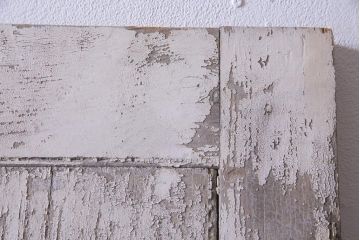 フランスアンティーク　シャビーな美しさが漂うペイントドア一対(木製扉、親子ドア、ディスプレイ)