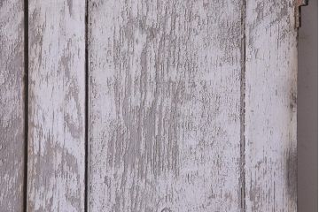 フランスアンティーク　シャビーな美しさが漂うペイントドア一対(木製扉、親子ドア、ディスプレイ)