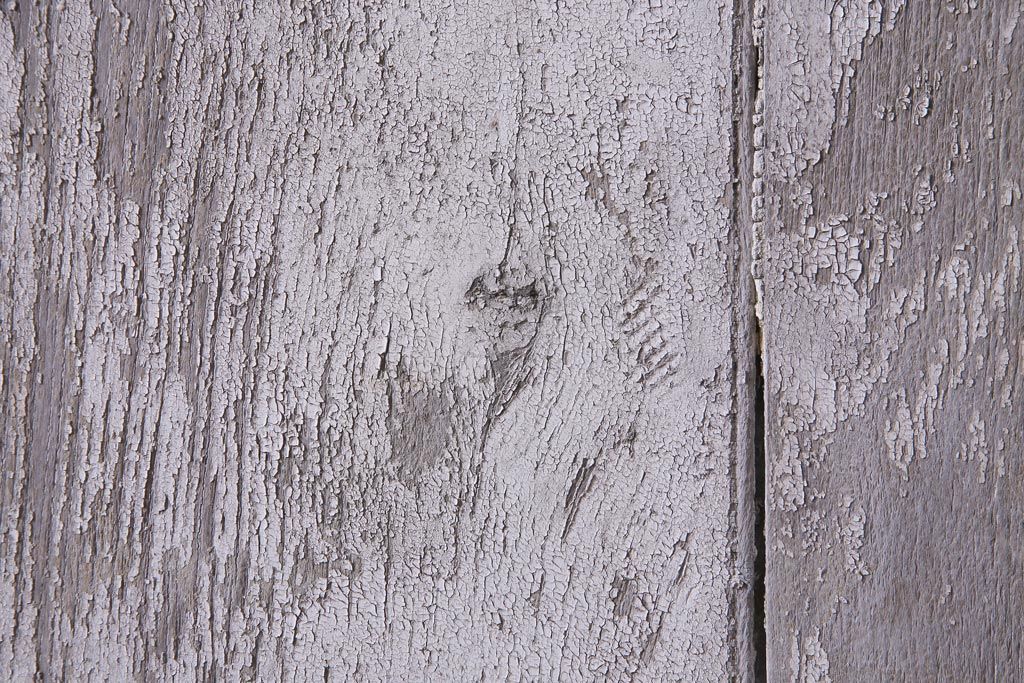 フランスアンティーク　シャビーな美しさが漂うペイントドア一対(木製扉、親子ドア、ディスプレイ)