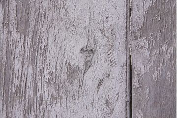 フランスアンティーク　シャビーな美しさが漂うペイントドア一対(木製扉、親子ドア、ディスプレイ)