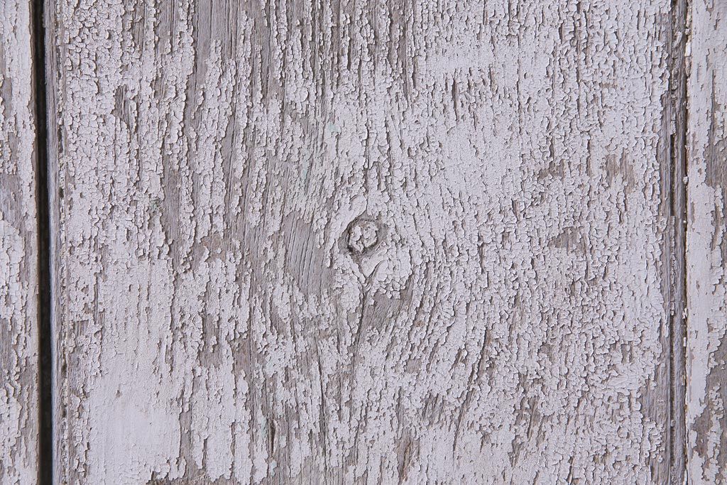 フランスアンティーク　シャビーな美しさが漂うペイントドア一対(木製扉、親子ドア、ディスプレイ)