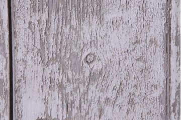 フランスアンティーク　シャビーな美しさが漂うペイントドア一対(木製扉、親子ドア、ディスプレイ)