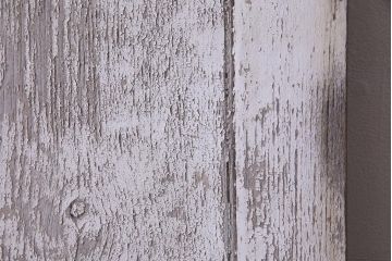 フランスアンティーク　シャビーな美しさが漂うペイントドア一対(木製扉、親子ドア、ディスプレイ)