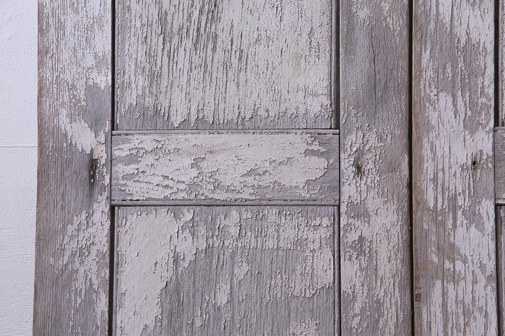 フランスアンティーク　シャビーな美しさが漂うペイントドア一対(木製扉、親子ドア、ディスプレイ)