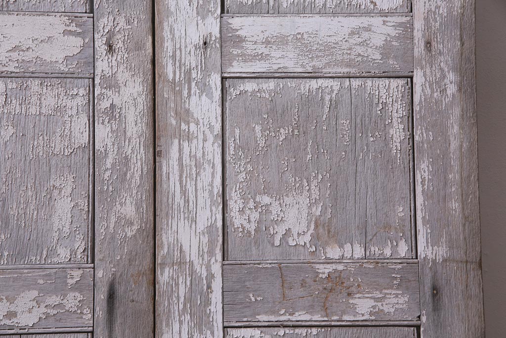 フランスアンティーク　シャビーな美しさが漂うペイントドア一対(木製扉、親子ドア、ディスプレイ)