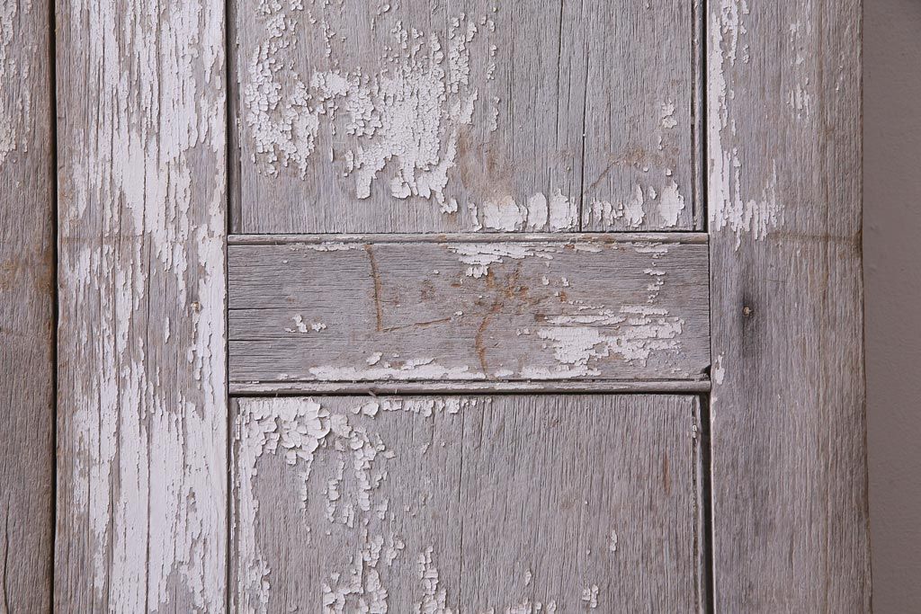 フランスアンティーク　シャビーな美しさが漂うペイントドア一対(木製扉、親子ドア、ディスプレイ)