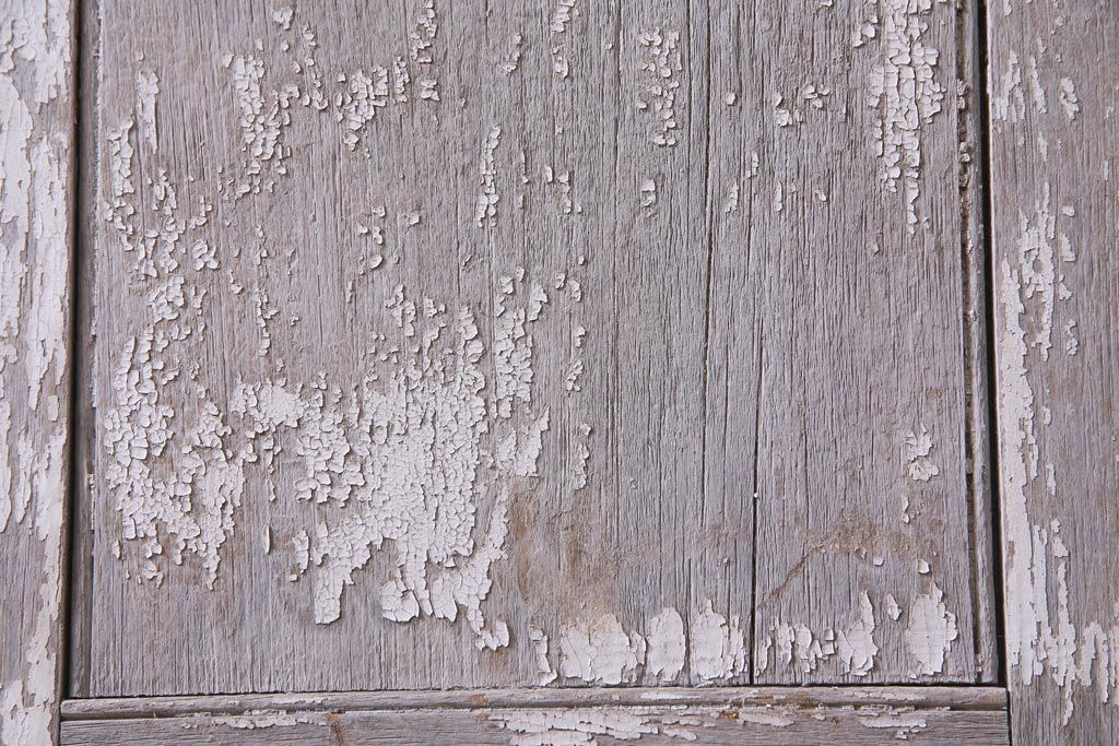 フランスアンティーク　シャビーな美しさが漂うペイントドア一対(木製扉、親子ドア、ディスプレイ)