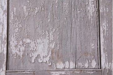 フランスアンティーク　シャビーな美しさが漂うペイントドア一対(木製扉、親子ドア、ディスプレイ)