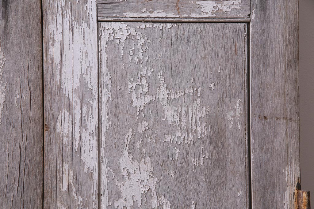 フランスアンティーク　シャビーな美しさが漂うペイントドア一対(木製扉、親子ドア、ディスプレイ)