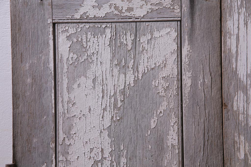 フランスアンティーク　シャビーな美しさが漂うペイントドア一対(木製扉、親子ドア、ディスプレイ)