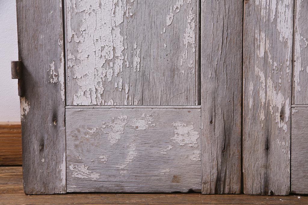 フランスアンティーク　シャビーな美しさが漂うペイントドア一対(木製扉、親子ドア、ディスプレイ)