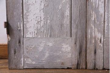 フランスアンティーク　シャビーな美しさが漂うペイントドア一対(木製扉、親子ドア、ディスプレイ)