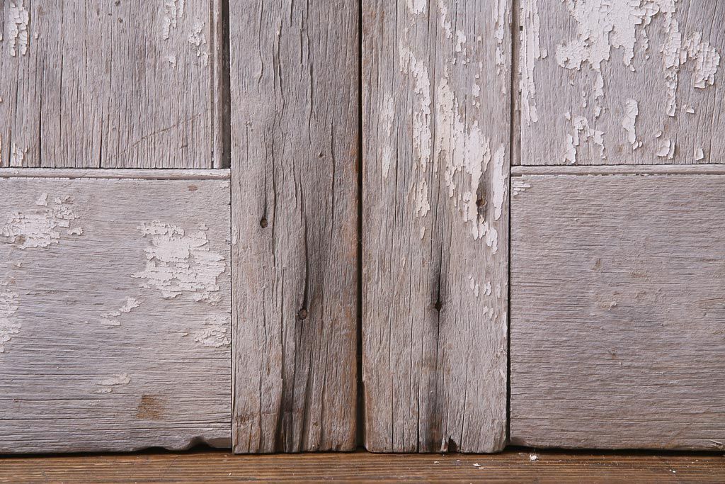 フランスアンティーク　シャビーな美しさが漂うペイントドア一対(木製扉、親子ドア、ディスプレイ)