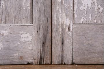 フランスアンティーク　シャビーな美しさが漂うペイントドア一対(木製扉、親子ドア、ディスプレイ)