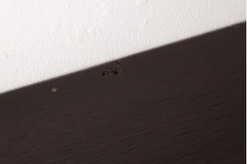 アンティーク家具　イギリスアンティーク　オーク材　上品なデザインのフック付きウォールシェルフ(ウォールラック、壁掛け棚)