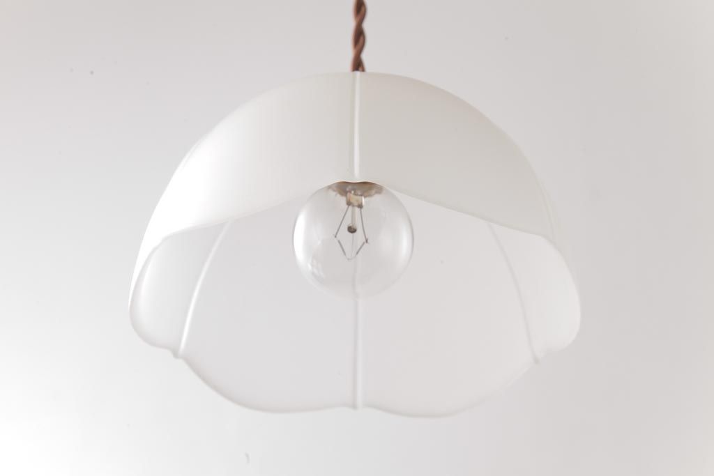 フランスアンティーク　丸い形のすりガラスシェードのペンダントライト(天井照明、吊り下げ照明)