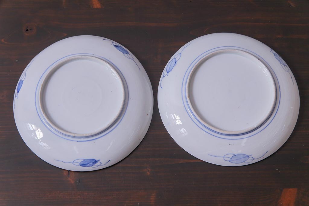 古民具・骨董　幕末明治期　山水図　色絵染付皿2枚セット(7寸皿、中皿)(2)