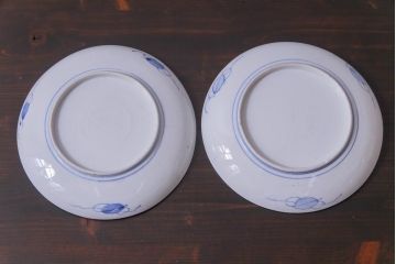 古民具・骨董　幕末明治期　山水図　色絵染付皿2枚セット(7寸皿、中皿)(2)