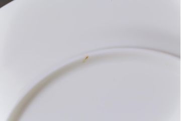 中古　ノリタケ(Noritake)　ブルーヒル(廃盤)　淡いブルーの花柄が可憐な小皿4枚セット(プレート、洋食器)