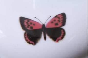 ROYAL WORCESTER(ロイヤルウースター)　WORCESTER　HERBS(ウースターハーブ)　ティーセット3点(シュガーポット、クリーマー)