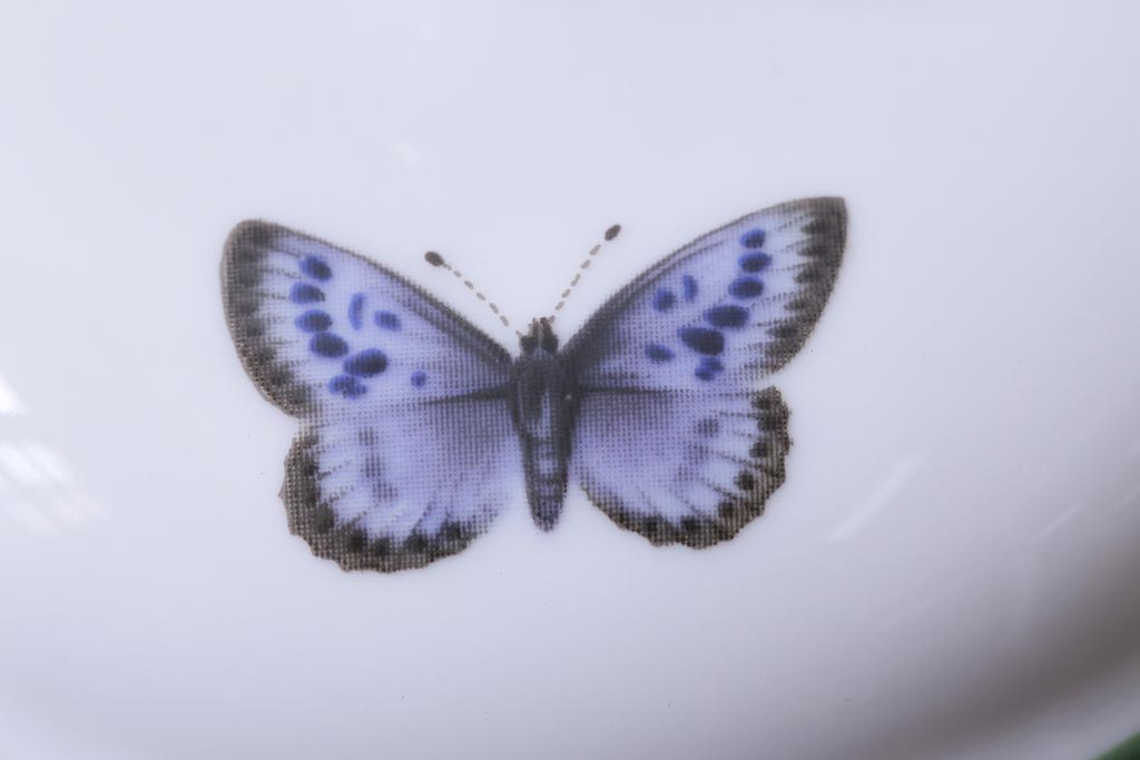 ROYAL WORCESTER(ロイヤルウースター)　WORCESTER　HERBS(ウースターハーブ)　ティーセット3点(シュガーポット、クリーマー)