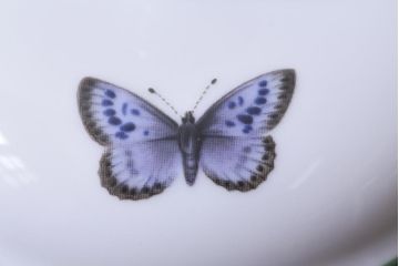 ROYAL WORCESTER(ロイヤルウースター)　WORCESTER　HERBS(ウースターハーブ)　ティーセット3点(シュガーポット、クリーマー)