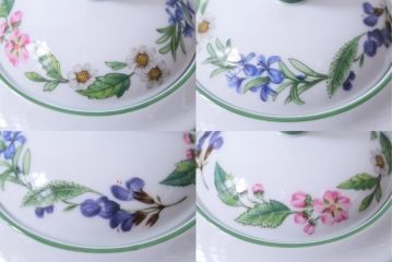 ROYAL WORCESTER(ロイヤルウースター)　WORCESTER　HERBS(ウースターハーブ)　ティーセット3点(シュガーポット、クリーマー)