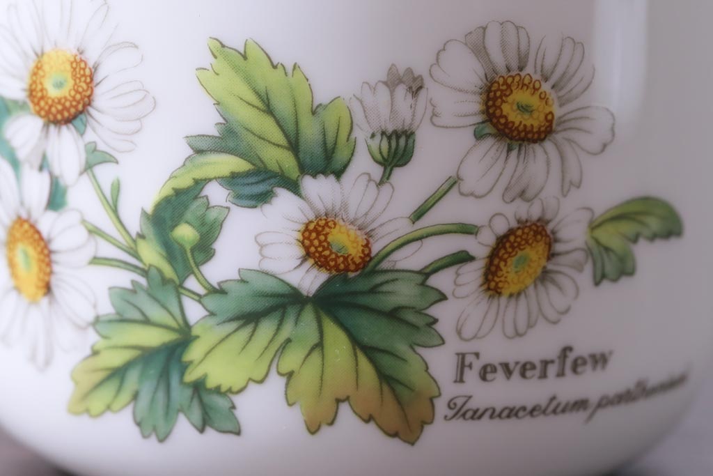 ROYAL WORCESTER(ロイヤルウースター)　WORCESTER　HERBS(ウースターハーブ)　ティーセット3点(シュガーポット、クリーマー)