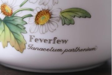 ROYAL WORCESTER(ロイヤルウースター)　WORCESTER　HERBS(ウースターハーブ)　ティーセット3点(シュガーポット、クリーマー)