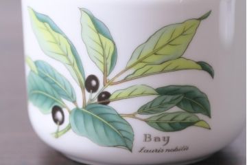 ROYAL WORCESTER(ロイヤルウースター)　WORCESTER　HERBS(ウースターハーブ)　ティーセット3点(シュガーポット、クリーマー)