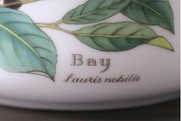 ROYAL WORCESTER(ロイヤルウースター)　WORCESTER　HERBS(ウースターハーブ)　ティーセット3点(シュガーポット、クリーマー)