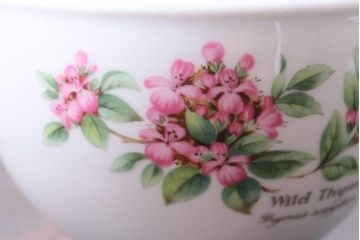 ROYAL WORCESTER(ロイヤルウースター)　WORCESTER　HERBS(ウースターハーブ)　ティーセット3点(シュガーポット、クリーマー)