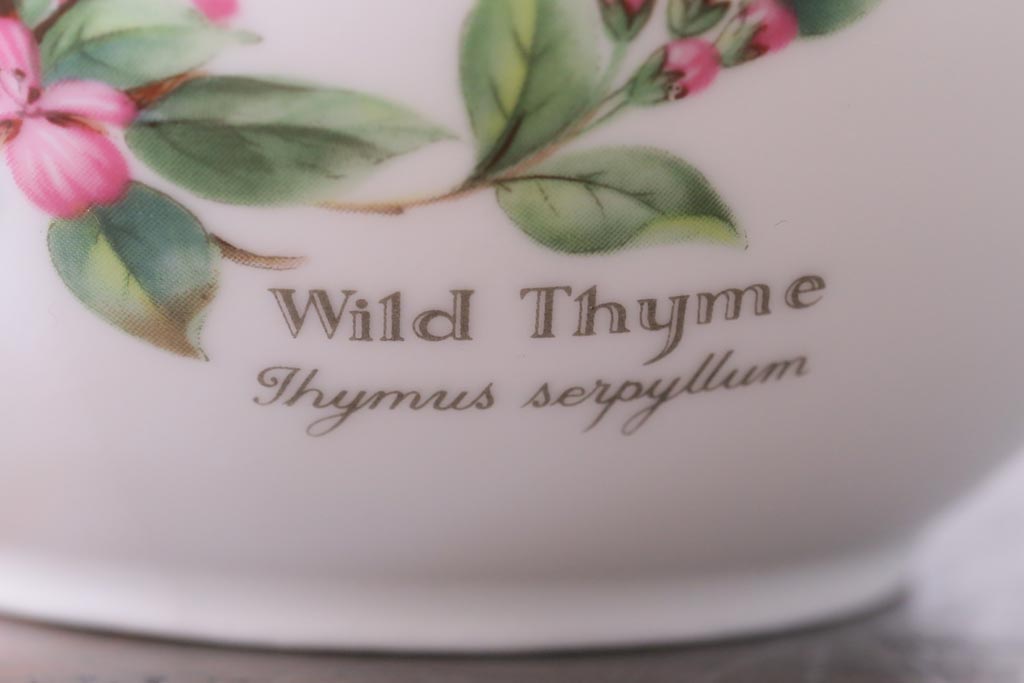 ROYAL WORCESTER(ロイヤルウースター)　WORCESTER　HERBS(ウースターハーブ)　ティーセット3点(シュガーポット、クリーマー)