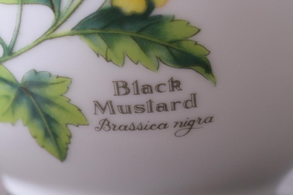 ROYAL WORCESTER(ロイヤルウースター)　WORCESTER　HERBS(ウースターハーブ)　ティーセット3点(シュガーポット、クリーマー)