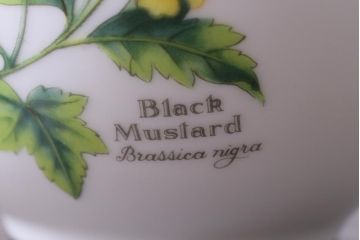 ROYAL WORCESTER(ロイヤルウースター)　WORCESTER　HERBS(ウースターハーブ)　ティーセット3点(シュガーポット、クリーマー)