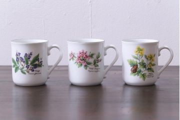 ROYAL WORCESTER(ロイヤルウースター)　WORCESTER　HERBS(ウースターハーブ)　コーヒーカップ3点セット