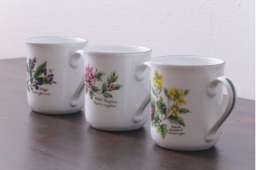 ROYAL WORCESTER(ロイヤルウースター)　WORCESTER　HERBS(ウースターハーブ)　コーヒーカップ3点セット
