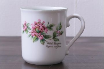 ROYAL WORCESTER(ロイヤルウースター)　WORCESTER　HERBS(ウースターハーブ)　コーヒーカップ3点セット