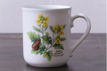 ROYAL WORCESTER(ロイヤルウースター)　WORCESTER　HERBS(ウースターハーブ)　コーヒーカップ3点セット