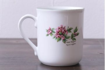 ROYAL WORCESTER(ロイヤルウースター)　WORCESTER　HERBS(ウースターハーブ)　コーヒーカップ3点セット