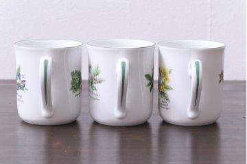 ROYAL WORCESTER(ロイヤルウースター)　WORCESTER　HERBS(ウースターハーブ)　コーヒーカップ3点セット