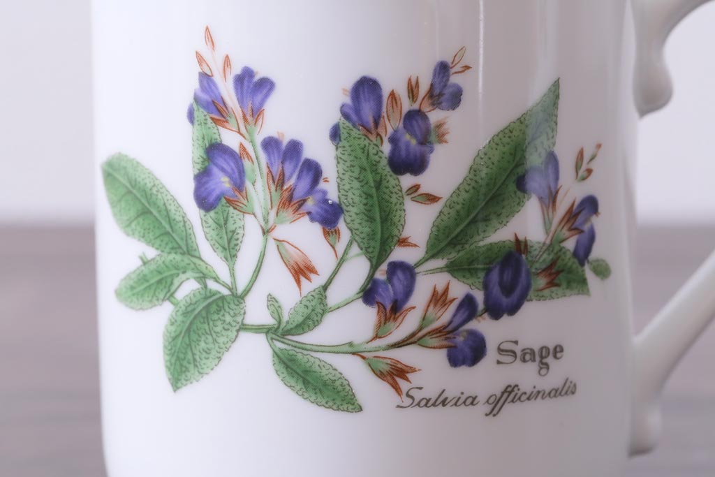 ROYAL WORCESTER(ロイヤルウースター)　WORCESTER　HERBS(ウースターハーブ)　コーヒーカップ3点セット
