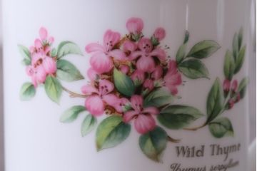 ROYAL WORCESTER(ロイヤルウースター)　WORCESTER　HERBS(ウースターハーブ)　コーヒーカップ3点セット