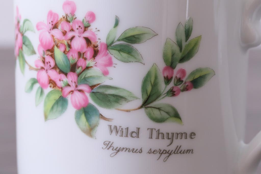 ROYAL WORCESTER(ロイヤルウースター)　WORCESTER　HERBS(ウースターハーブ)　コーヒーカップ3点セット