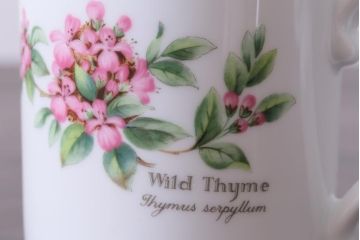 ROYAL WORCESTER(ロイヤルウースター)　WORCESTER　HERBS(ウースターハーブ)　コーヒーカップ3点セット