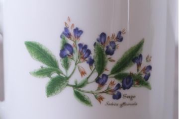 ROYAL WORCESTER(ロイヤルウースター)　WORCESTER　HERBS(ウースターハーブ)　コーヒーカップ3点セット